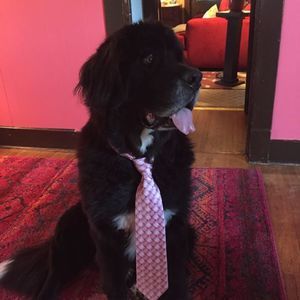 Meet your Posher, Jason